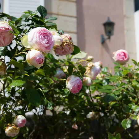 Chateau De Sissi 3* Sassetot-le-Mauconduit
