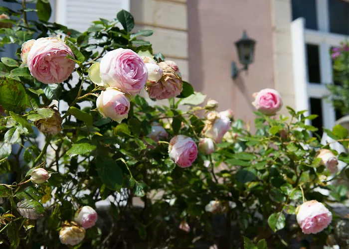 Chateau De Sissi 3* Sassetot-le-Mauconduit