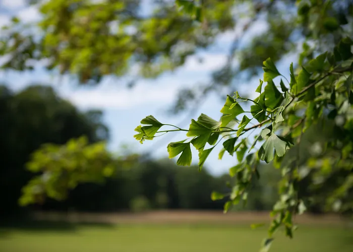 Chateau De Sissi Sassetot-le-Mauconduit